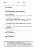 Vorschau - Arbeitsblätter - AB mit Fragen zum Thema "Pflanzen" + Lösungsblatt + Mindmap + Infografik - Seite 3