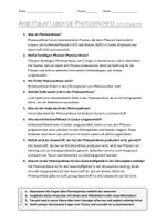 Vorschau - Arbeitsblätter - AB mit Fragen zum Thema "Photosynthese" + Lösungsblatt + Mindmap + Infografik - Seite 2