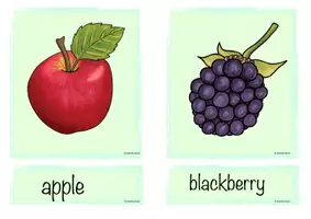 Vorschau - Bildkarten - Flashcards (Wort- / Bildkarten) Fruits - Seite 3