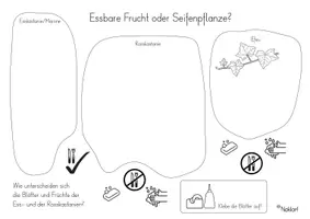 Vorschau - Stundenentwürfe - Herbstausflug - Bäume - Seite 2