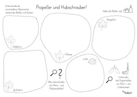Vorschau - Stundenentwürfe - Herbstausflug - Bäume - Seite 3