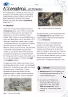 Vorschau - Arbeitsblätter - Archaeopteryx - ein Brückentier / Evolution - AB mit Lösungen - Seite 1