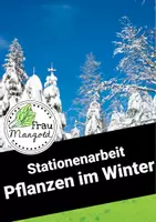 Vorschau - Arbeitsblätter - Pflanzen im Winter - Stationsarbeit mit Arbeitsblättern und Lösungen Niveau differenziert - Deckblatt