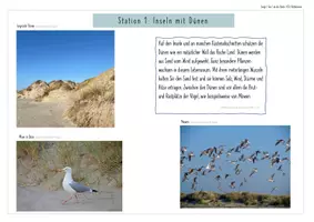 Vorschau - Stundenentwürfe - Küste 1: Lage, Gliederung Nordseeküste - Stationenarbeit, Fantasiereise - Seite 3