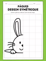 Aperçu - Préparation de séance / Séance complète - Symétrie des saisons +38 fiches d'activités - Page de couverture