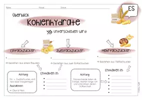Vorschau - Unterrichtsreihen - Kohlenhydrate - Ernährungslehre - Seite 3