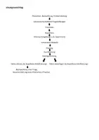 Vorschau - Arbeitsblätter - Strukturlegemodell Naturwissenschaftlicher Erkenntnisweg - Seite 2