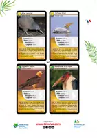 Aperçu - Jeux - Bioviva - Défis Nature Oiseaux à imprimer - Page 2
