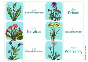 Vorschau - Arbeitsblätter - Zuordnungsspiel "Frühblüher" Domino Lesespiel Spiel - Seite 2