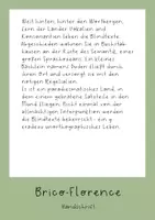 Vorschau - selbst erstellte Schriftarten - Schriftart für dein Arbeitsmaterial - Bricoflorence - Seite 2
