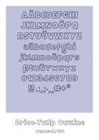 Vorschau - selbst erstellte Schriftarten - Schriftart für dein Arbeitsmaterial - BricoTulipOutline - Deckblatt