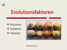 Vorschau - Unterrichtsreihen - Evolutionsfaktoren zum Selbstlernen - Seite 1