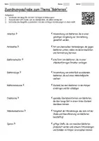 Vorschau - Arbeitsblätter - Lernposter + Arbeitsblätter zum Thema "Bakterien" + Lösung & MP3 + Mindmap + Infografik - Seite 3