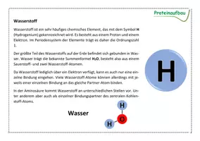Vorschau - Arbeitsblätter - Aufbau und Struktur der Proteine - Seite 3