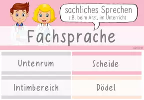 Vorschau - Poster - Geschlechtsteile | Sexualerziehung | Fachsprache - Seite 3