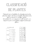 Vista previa - Hojas de trabajo - Classificació de plantes - Portada