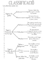 Vista previa - Hojas de trabajo - Classificació de plantes - página 1
