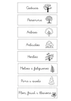Vista previa - Hojas de trabajo - Classificació de plantes - página 2
