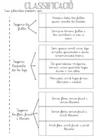 Vista previa - Hojas de trabajo - Classificació de plantes - página 3