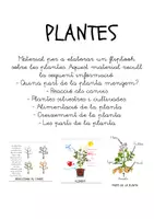Vista previa - Hojas de trabajo - Filpbook plantes - Portada