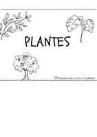 Vista previa - Hojas de trabajo - Filpbook plantes - página 1