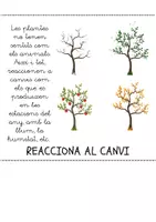 Vista previa - Hojas de trabajo - Filpbook plantes - página 3