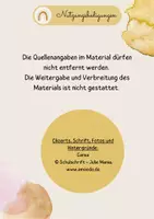 Vorschau - Unterrichtsreihen - Didaktische Hinweise zur Unterrichtsreihe Bionik - Seite 1