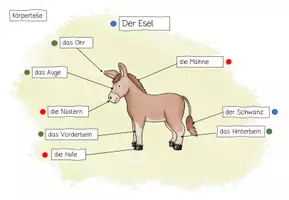 Vorschau - Arbeitsblätter - Lerntheke zum Thema "Bauernhof" - der Esel - Seite 3