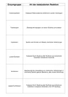 Vorschau - Stundenentwürfe - Unterrichtsstunde Einführung von Enzymklassen und Cofaktoren - Seite 2