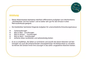 Vorschau - Spiele - Klettaufgaben: Herbstblätter und ihre Farben - Seite 1