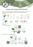 Vorschau - Arbeitsblätter - Experiment - Extraktion und Chromatographie der Blattfarbstoffe - Deckblatt