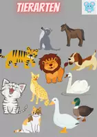 Vorschau - Aufgabenkarten - Tierarten und Tierrassen zuordnen zweite Klasse #edukibuddies - Deckblatt