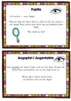 Vorschau - Arbeitsblätter - Auge Experimente - Seite 3