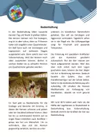 Vorschau - Arbeitsblätter - Gruppenarbeit - Hühnerhaltung (NuT6) - Seite 3