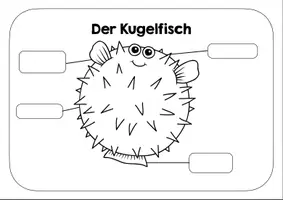 Vorschau - Arbeitsblätter - Kugelfisch Lernplakat - Arbeitsblatt - Deckblatt