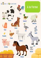 Aperçu - Apprentissages en autonomie - Kit - Affiches Découvrir le monde - Les animaux - Page 1