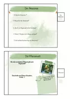 Vorschau - Stundenentwürfe - Geografie - Flipbook Regenwald (tropische Zone) (Kl. 6-7) - Seite 2