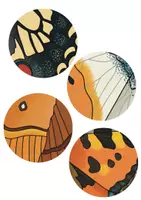 Vorschau - Arbeitsblätter - Schmetterling Zuordnungskarten - durch die Lupe + INTERAKTIVE VERSION - Legespiel Schmetterlinge - Seite 1
