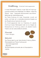 Vorschau - Arbeitsblätter - Ernährung - Stufen der Ernährungspyramide - Seite 1