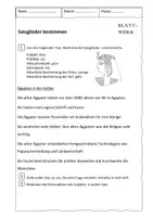 Vorschau - Arbeitsblätter - Arbeitsblätter: Satzglieder bestimmen; fächerübergreifend: Geschichte - Seite 2