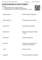 Vorschau - Arbeitsblätter - Lernplakat + Arbeitsblätter zum Thema "Erdboden" + Lösung & MP3 + - Seite 2