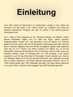 Vorschau - Stundenentwürfe - Erdbeben in der Türkei und Syrien - Unterrichtsmaterial / Spendenoptionen - Seite 2