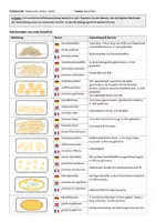 Vorschau - Arbeitsblätter - Kartoffeln Zubereitungen aus rohen und gekochten Kartoffeln - Seite 3