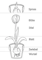 Vorschau - Mal- und Bastelvorlagen - Frühling Frühjahr Sammlung kleine Aufgaben Zusatz - Deckblatt
