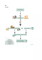 Vorschau - Arbeitsblätter - UR1 Einführung in das Fach Geschichte - 5. Stunde: Historiker - Ermittler auf den Spuren der Geschichte (Vorüberlegungen und Schaubild) - Seite 2