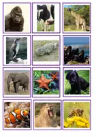 Vista previa - Juegos / Gamificación - Joc Animals (3) - Portada