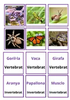 Vista previa - Juegos / Gamificación - Joc Animals (3) - página 3