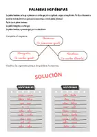Vista previa - Hojas de trabajo - Palabras homónimas - página 3