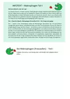 Vorschau - Arbeitsblätter - Spezifische Immunabwehr - Gruppenpuzzle mit Galleriegang - Seite 3