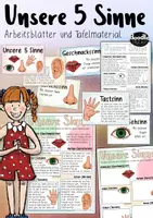 Vorschau - Arbeitsblätter - Unsere 5 Sinne - Arbeitsblätter und Tafelmaterial / Wahrnehmung - Seite 1
